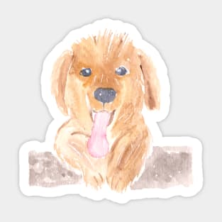 Watercolor Golden Retriever Puppy Sticker